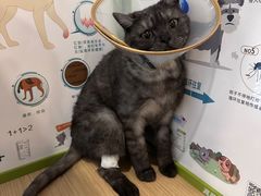 -美迦爱-牙专科·兔科·骨科诊疗中心(北苑店)