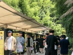 -将军关探险漂流