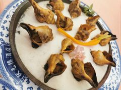 啤酒黄金螺-宁波状元楼酒店(和义路店)