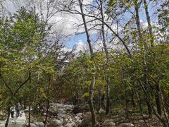 -玉渡山自然风景区