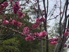 -东方绿舟景区