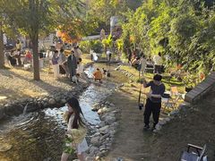 -HERRE·FARM 赫尔露营农场·团建聚会包场