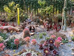 -中国科学院西双版纳热带植物园