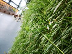 -南通洲际绿博园