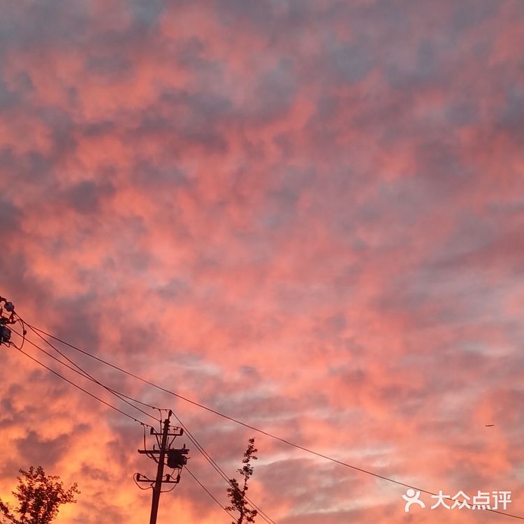 老妈今天早上拍的美丽的朝霞[愉快][强]