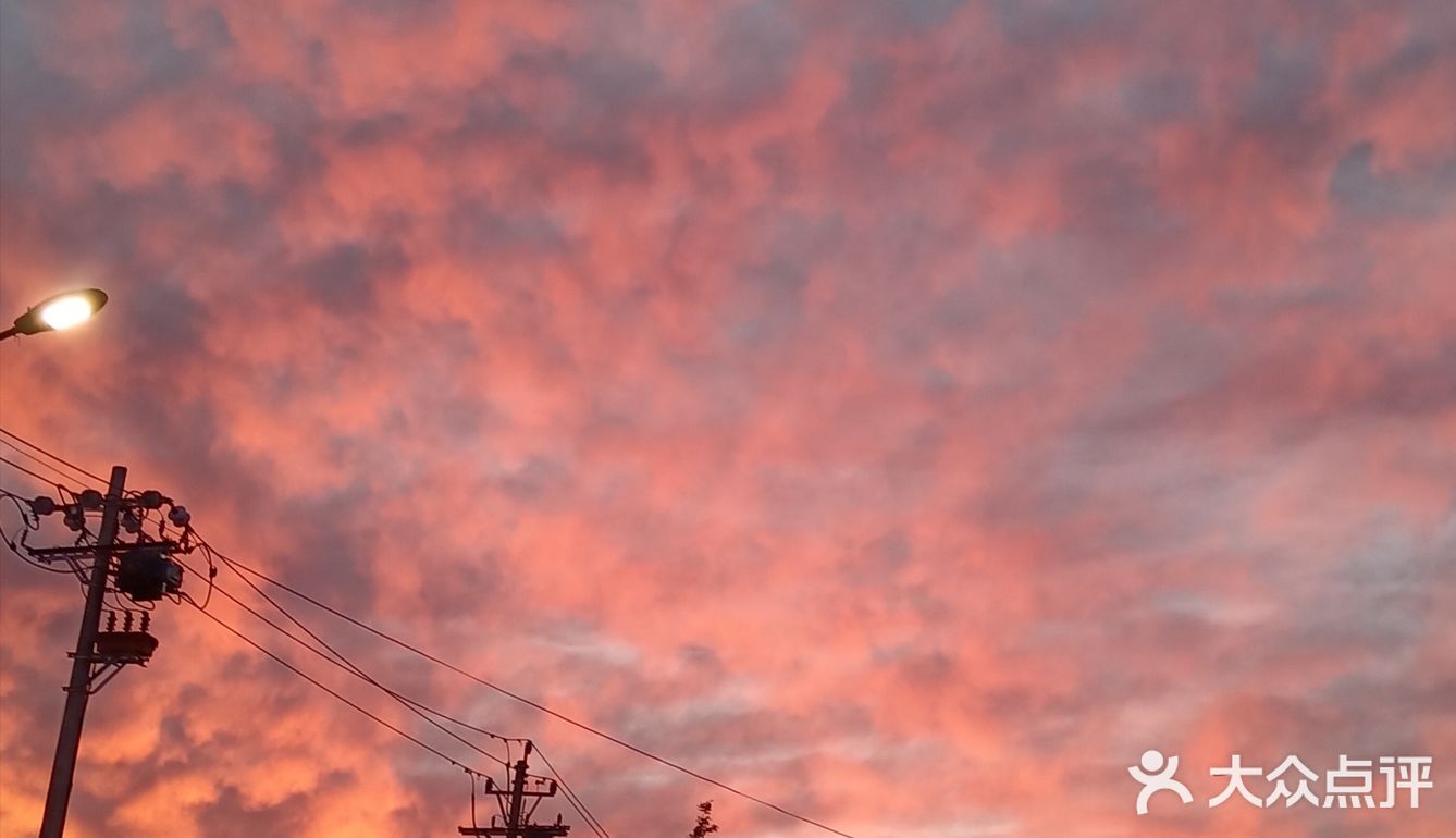 老妈今天早上拍的美丽的朝霞[愉快][强]