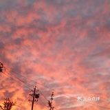 老妈今天早上拍的美丽的朝霞[愉快][强]