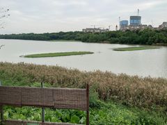 -华侨城湿地公园