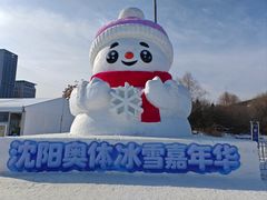 -沈阳奥体冰雪嘉年华