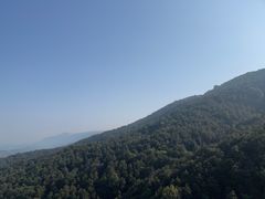 -铁山坪森林公园