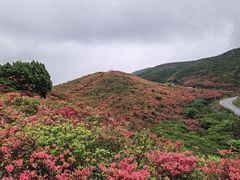 -大围山国家森林公园
