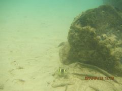 android_upload_pic-东姑阿都拉曼海洋公园