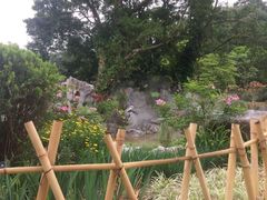 -东莞植物园