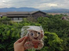 -西双版纳融创皇冠假日度假酒店