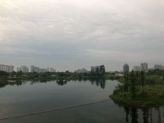 -眉山湿地公园(东坡区)