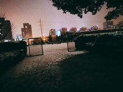 -金陵中学(河西分校)