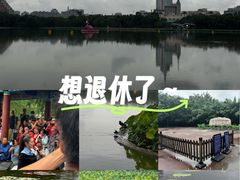 -莲花池公园