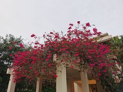 -三亚亚龙湾天域度假酒店