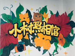 -小树照相馆·证件照(打浦桥店)