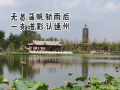 -西海子公园