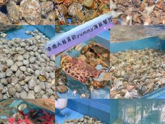 -杨梅坑渔村海鲜餐厅