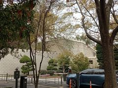 -放鹰台遗址