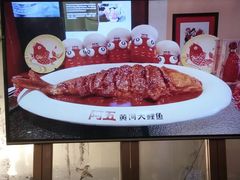 -阿五黄河大鲤鱼(英协路店)