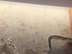 -新紫霞养生·影院足道·SPA(金山区店)