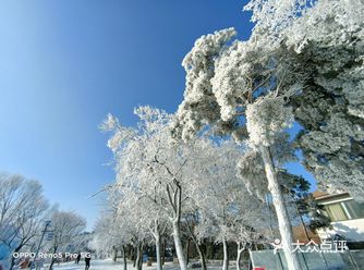 跑马岭齐鲁雪乡,亲子游玩好去处