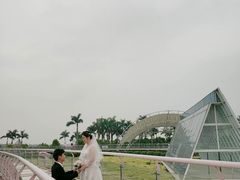 -百万葵园