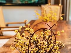 -悦哉·派对·草坪婚礼·围炉煮茶(三圣乡店)