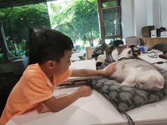 -咖法森林·咖啡  酒吧(天河店)