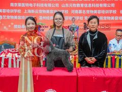 -鑫艺宠物美容培训学校