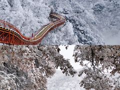 -少华山国家森林公园