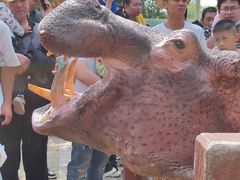 -贵州森林野生动物园