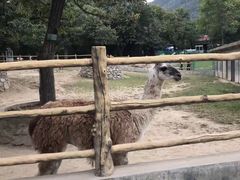 -西安秦岭野生动物园