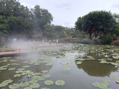 -广州莲花山旅游区