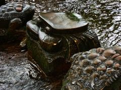 -黄龙溪古镇