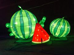 -金城公园