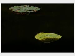 -西南交通大学(九里校区)