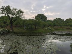 -无锡梅园公园