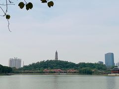 -顺峰山公园