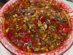 -欧记大排档·景德菜(上海首店)