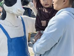 -君乐宝优致牧场