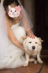 -绿皮火车照相馆 婚纱照旅拍(厦门店)