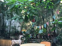 -懒鱼时光馆(沙坪坝店)