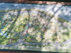 -上海滨江森林公园