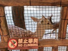 -长鹿旅游休博园