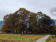 -塔川景区