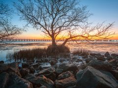 -宝安西湾红树林湿地公园